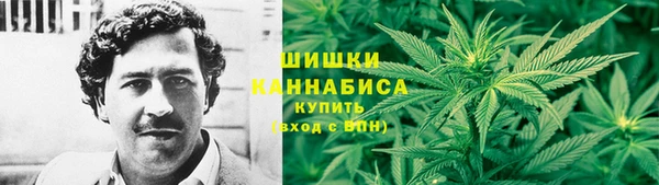 Альфа ПВП Богородицк